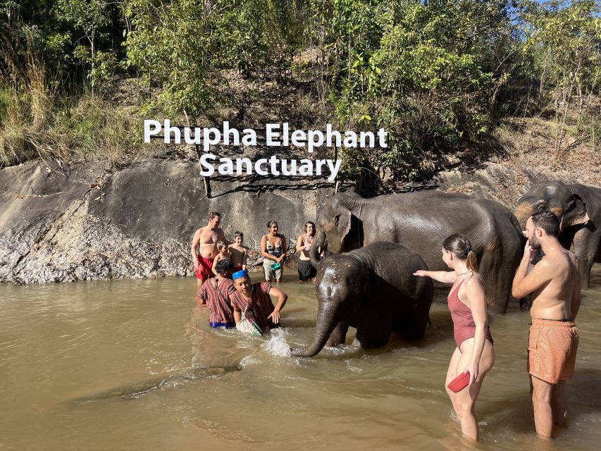 Chiang Mai: Waterfall, Elephant Sanctuary and Bamboo Rafting