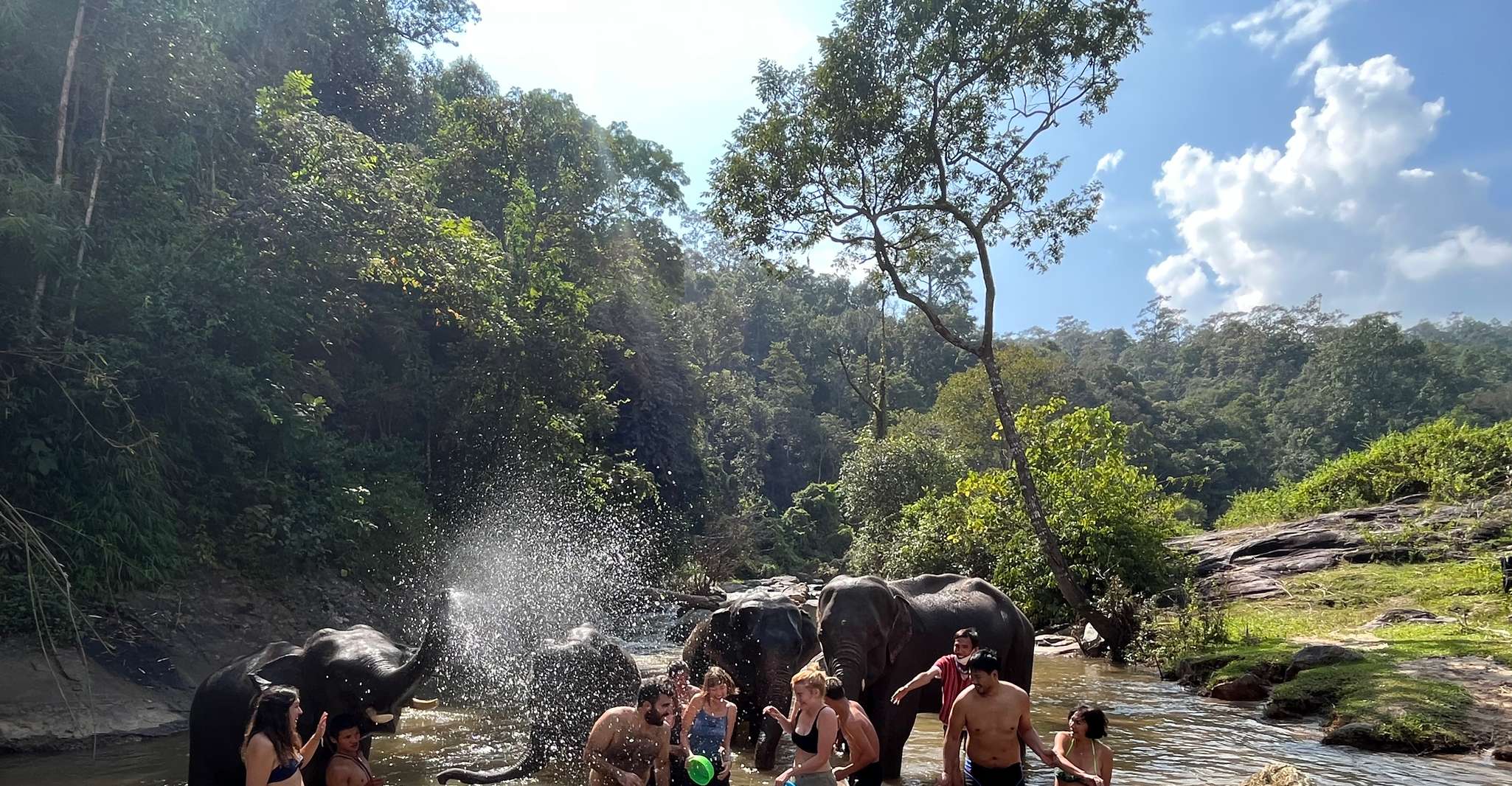 Chiang Mai, Waterfall, Elephant Sanctuary, and Rafting Tour - Housity