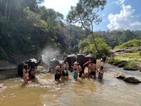 Chiang Mai, Waterfall, Elephant Sanctuary e Rafting Tour - Housity