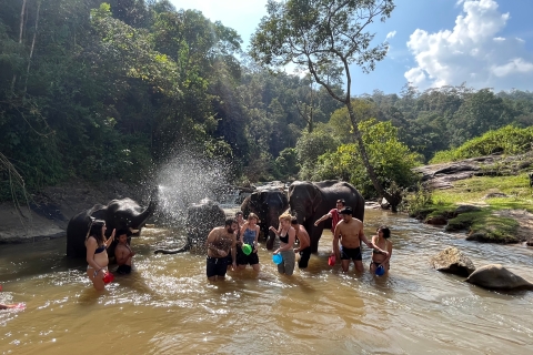 Chiang Mai: Wasserfall, Elefantenschutzgebiet und Bamboo RaftingGruppentour mit Hotelabholung