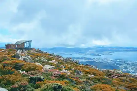 Excursion à terre : Hobart Wanderer