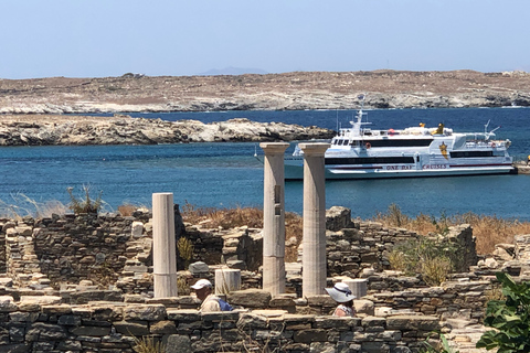 Von Naxos aus: Delos und Mykonos Tagesausflug mit lizenziertem Reiseführer