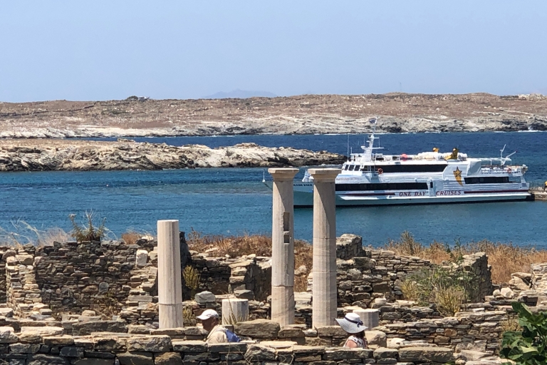 Van Naxos: dagtrip naar Delos en Mykonos met gelicentieerde gids