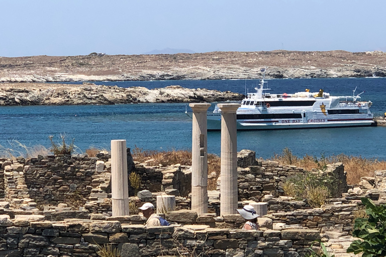 Desde Naxos: Excursión de un día a Delos y Mykonos con guía autorizado