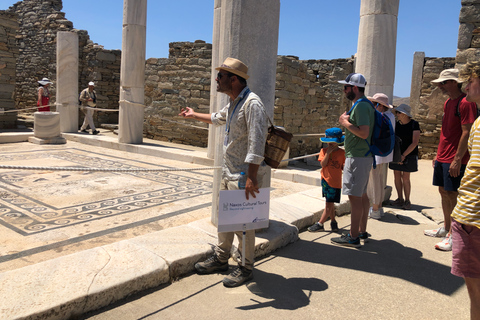 Desde Naxos: Excursión de un día a Delos y Mykonos con guía autorizado