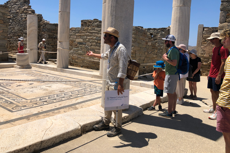 Z Naxos: Delos i Mykonos Day Trip z licencjonowanym przewodnikiem