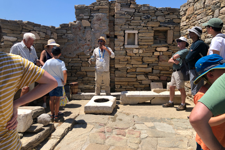 Desde Naxos: Excursión de un día a Delos y Mykonos con guía autorizado