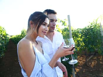 From Biograd: Wine and Olive Oil Tasting in Ražnjevića Dvori