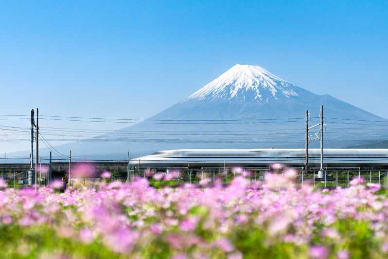 Japan: 7-, 14- oder 21-tägiger Japan Rail Pass