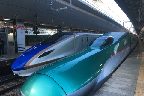 Japan Rail Pass: 7, 14 oder 21 Tage + Weltweiter VersandJR Pass 7 Tage Normaler Wagen