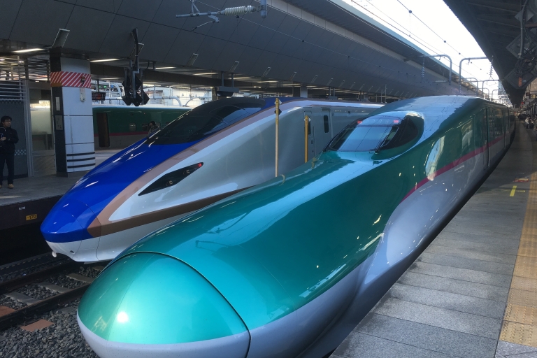 Japan Rail Pass: 7, 14 of 21 dagen + wereldwijde verzendingJR-pas 7-daagse gewone auto