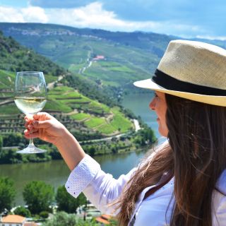 Douro Valley Tour With Wise tasting