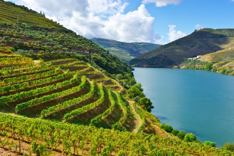 Porto: Private ganztägige Weinprobe im Douro-Tal