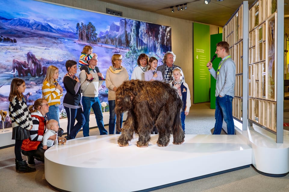 Mettmann: Neanderthal Museum Admission Ticket | GetYourGuide