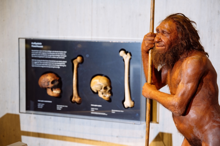 Mettmann: Eintrittskarte für das Neanderthal Museum