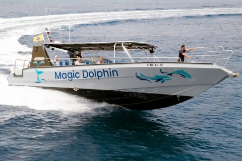 Morro Jable: Magic Dolphin Search SegeltörnTour mit Abholung