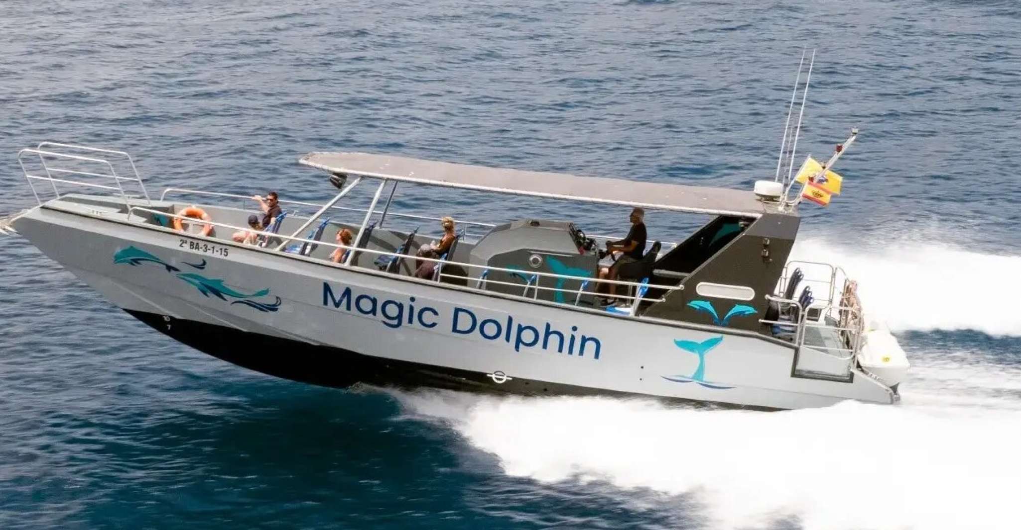 Morro Jable, Dolphin & Whale Watching Cruise, Drinks & Swim - Housity
