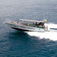 Morro Jable, Dolphin & Whale Watching Cruise, Drinks & Swim - Housity
