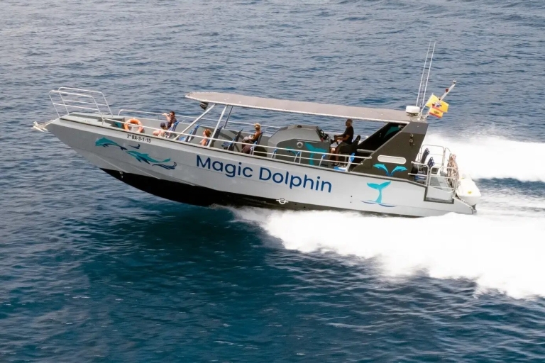 Morro Jable: Magic Dolphin Search Sailing Excursion With Pickup