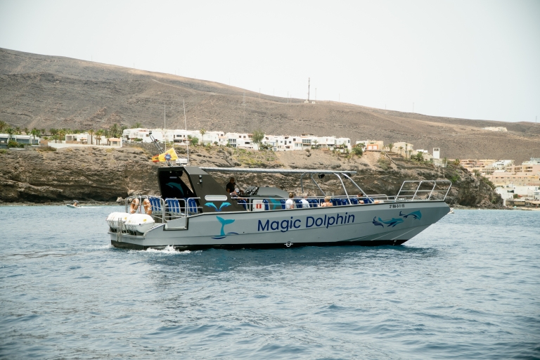 Morro Jable: Magic Dolphin Search Sailing Excursion Without Pickup