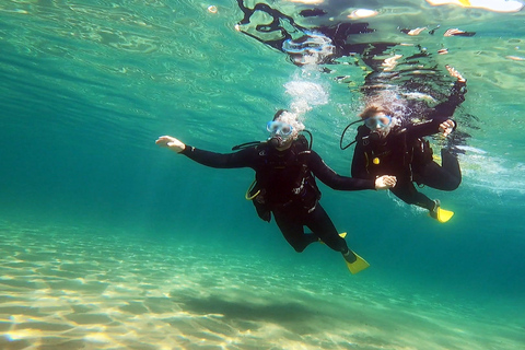 Athen Ostküste: Entdecken Sie Tauchen in Nea MakriAthens Ostküste: Entdecken Sie das Tauchen in Nea Makri