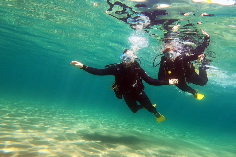 Athen Ostküste: Entdecken Sie Tauchen in Nea MakriAthens Ostküste: Entdecken Sie das Tauchen in Nea Makri