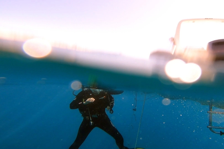 Athènes: plongées aventure à Nea Makri pour plongeurs certifiésAthènes côte Est: 1 plongée à terre - 3 heures