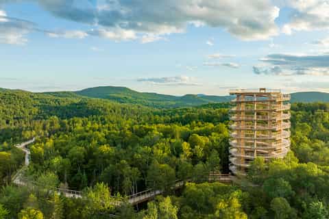 Mont-Tremblant : Observatoire de la cime des arbres et marche autoguidée
