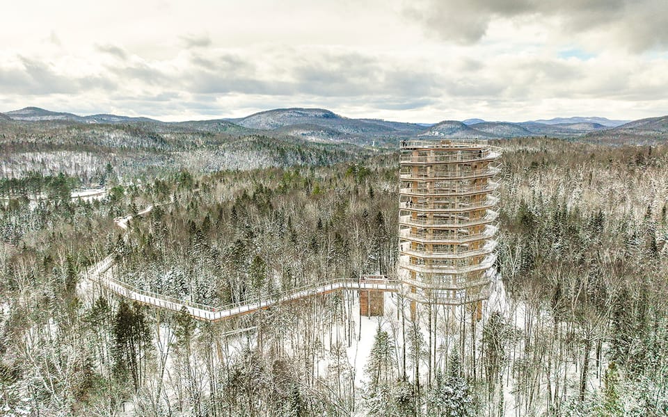 Mont-Tremblant: Laurentians Treetop Observatory And Walk | GetYourGuide