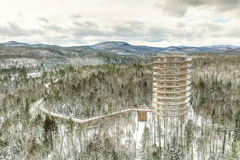 Mont-Tremblant: Laurentians Treetop Observatory and Walk