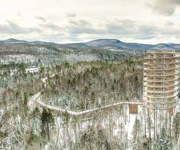 Mont-Tremblant: Laurentians Treetop Observatory and Walk