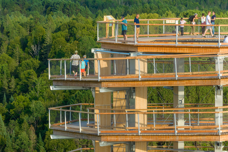 Mont-Tremblant: Laurentians Treetop Observatory och promenadMont-Tremblant: Laurentians trädtoppsobservatorium och promenad