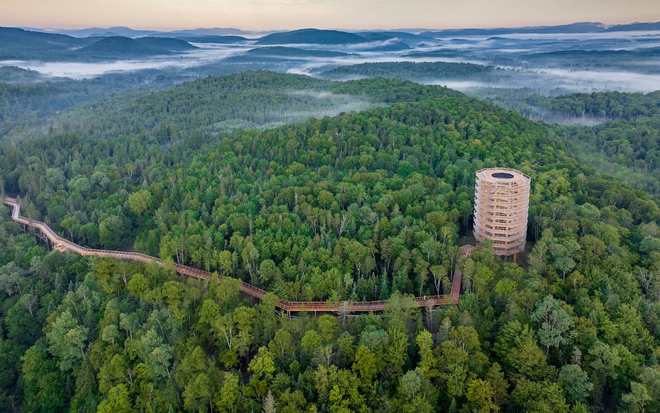 Mont-Tremblant: Laurentians Treetop Observatory And Walk | GetYourGuide