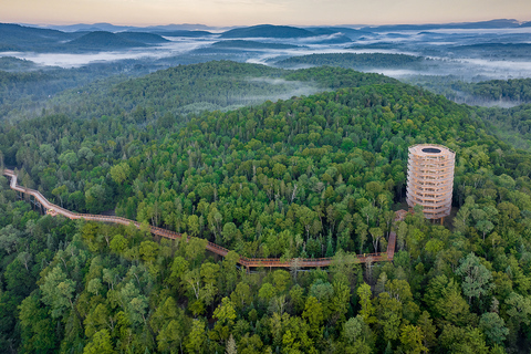 Mont-Tremblant: Laurentians Treetop Observatory och promenadMont-Tremblant: Laurentians trädtoppsobservatorium och promenad