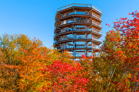 Mont-Tremblant: Laurentians Treetop Observatory och promenadMont-Tremblant: Laurentians trädtoppsobservatorium och promenad