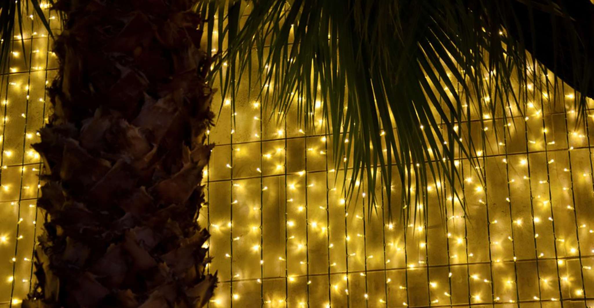 Funchal, Weihnachtsbeleuchtung geführt Tuk-Tuk Tour - Hizvo
