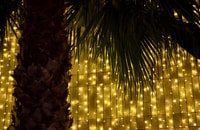 Funchal, Weihnachtsbeleuchtung geführt Tuk-Tuk Tour - Hizvo