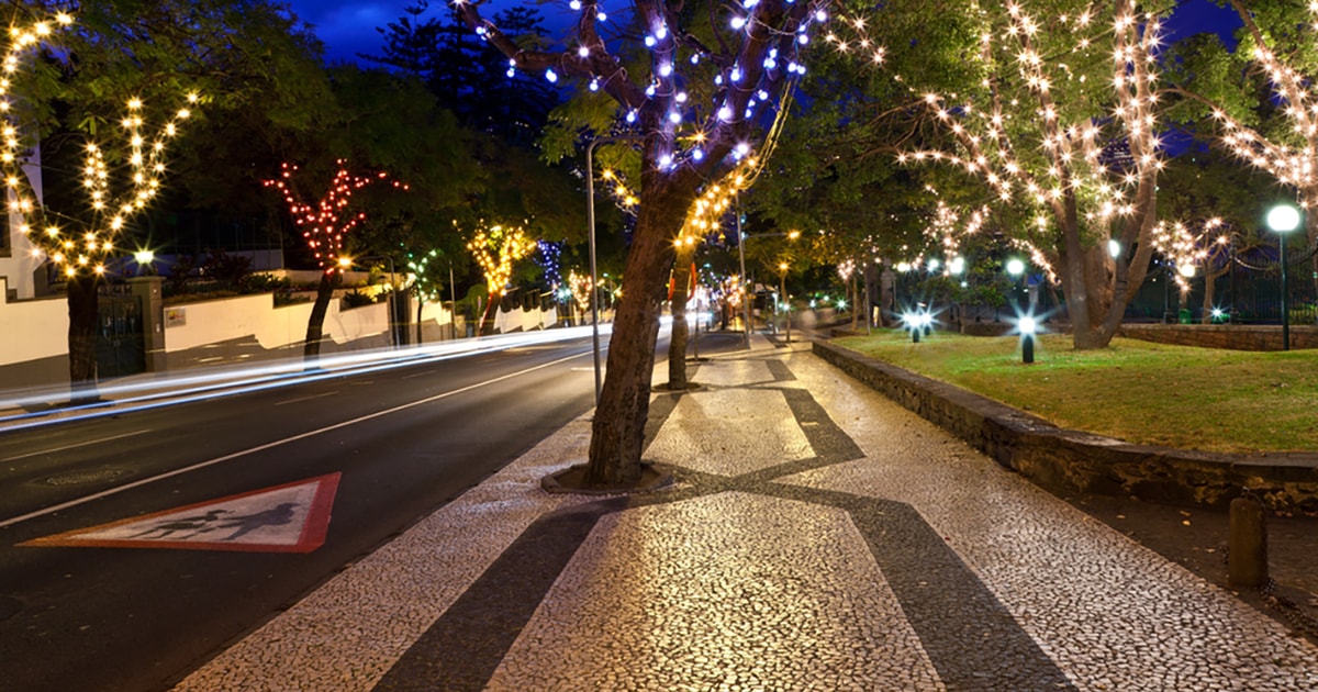 Funchal Christmas Lights Guided TukTuk Tour GetYourGuide