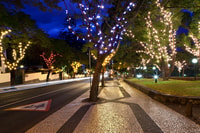 Funchal, Weihnachtsbeleuchtung geführt Tuk-Tuk Tour - Hizvo