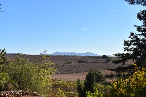 Valencia: Tagesausflug zur Höhle und Weinkellerei Utiel-Requena mit Verkostung