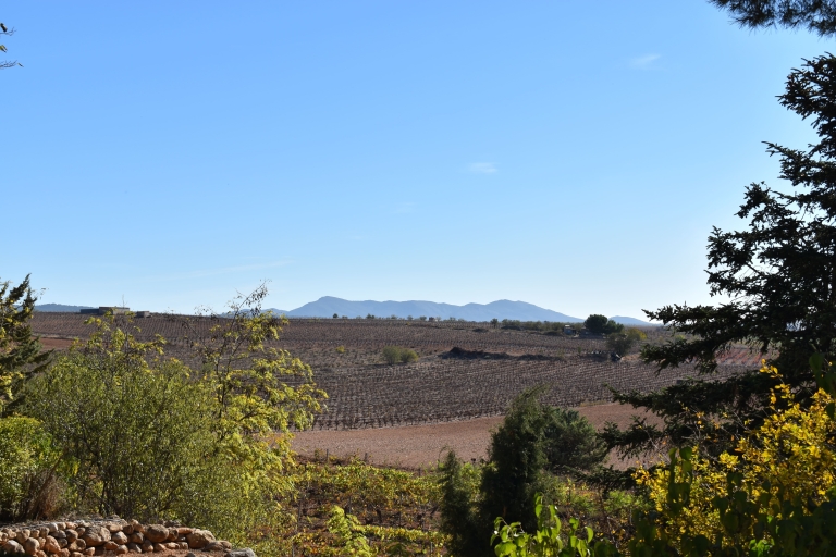 Valencia: Tagesausflug zur Höhle und Weinkellerei Utiel-Requena mit Verkostung