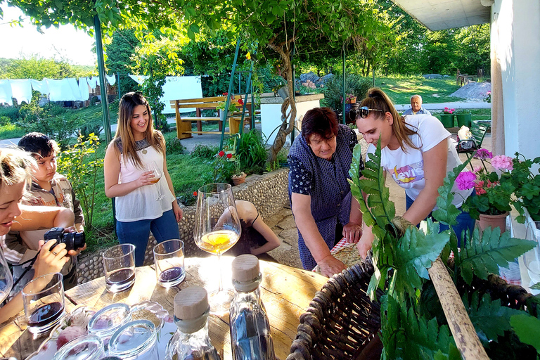 "The Eye Of The Earth" avec dégustation de vinsVisite guidée en anglais