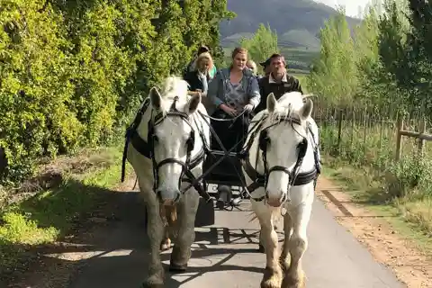 Franschhoek: Vrede en Lust Wine Estate 1H Carriage Ride