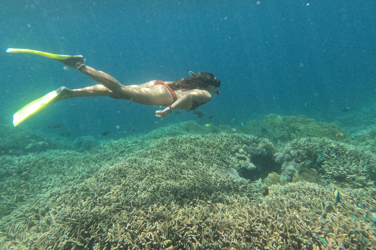 From Lembongan: 3 Snorkeling Spot Day Trip to Penida Tour with Lembongan transfers, Lunch and Mangrove Tour