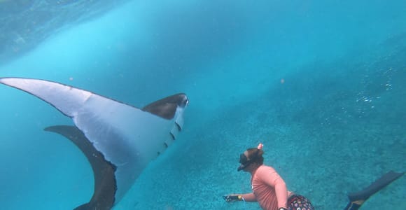 From Lembongan: Nusa Penida Snorkeling Day Trip