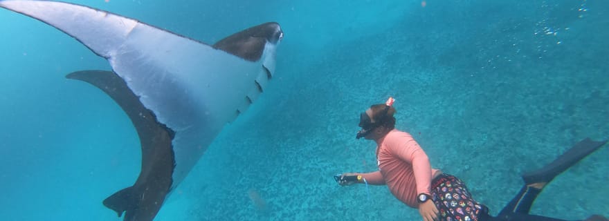 Depuis Lembongan : Excursion d'une journée à Nusa Penida pour faire de la plongée en apnée