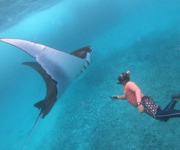 From Lembongan: Nusa Penida Snorkeling Day Trip