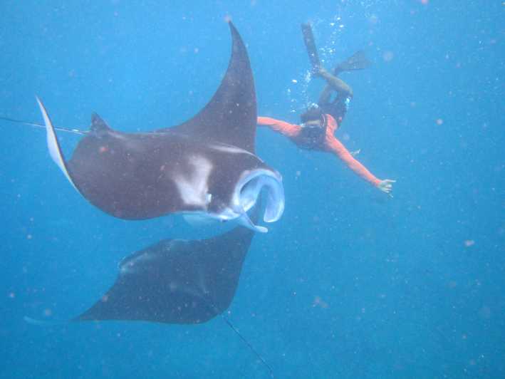 From Nusa Penida: 3 Spots Snorkeling Tour with Manta Rays