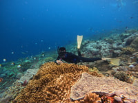 Da Nusa Penida, 3 punti Snorkeling Tour con Manta Rays - Housity