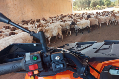 Crète : Circuit de safari en quad tout terrain avec transferts vers les hôtels